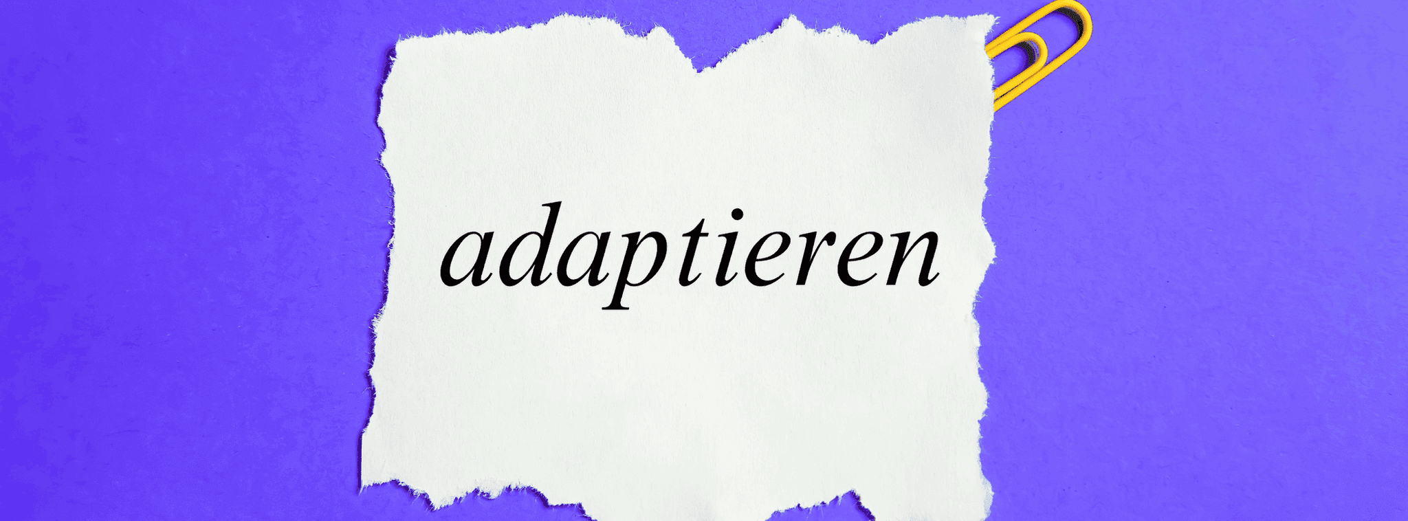 „Adaptieren“: Bedeutung, Beispiele und typische Nutzung