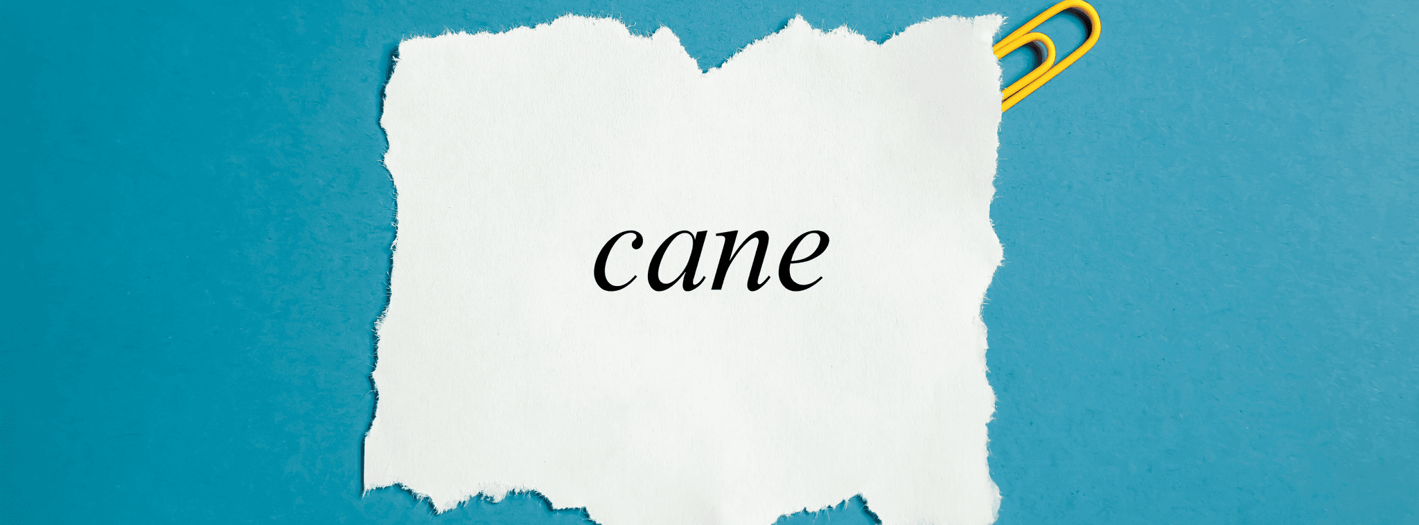 Was bedeutet ‚cane‘ auf Italienisch? Bedeutung, Grammatik und natürlicher Gebrauch