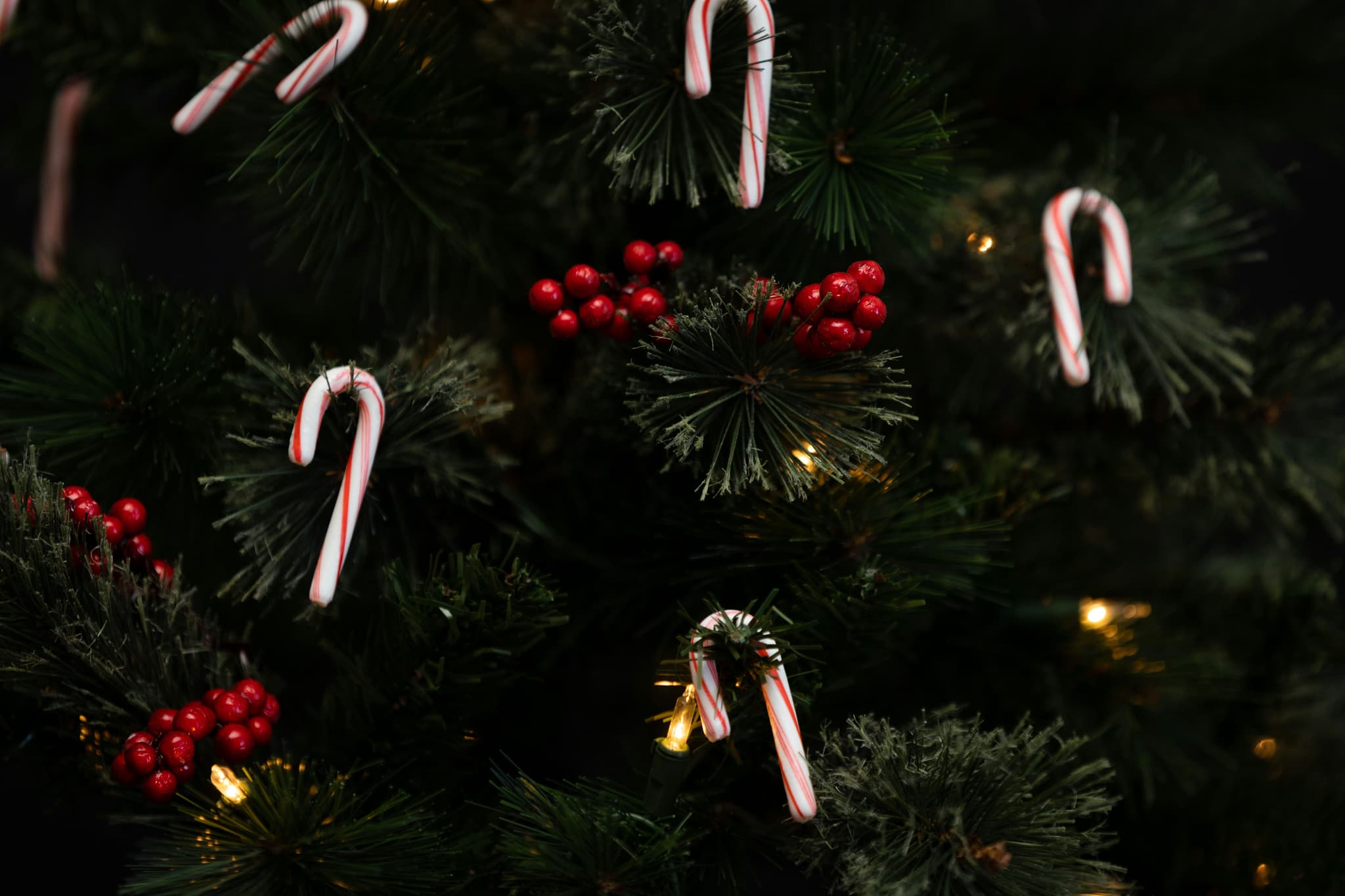 Weihnachten in Portugal: Consoada & Bräuche
