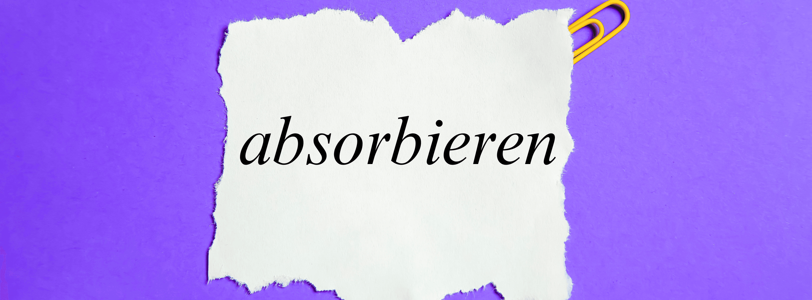 „Absorbieren' – Bedeutung, Beispiele & Anwendung im Alltag