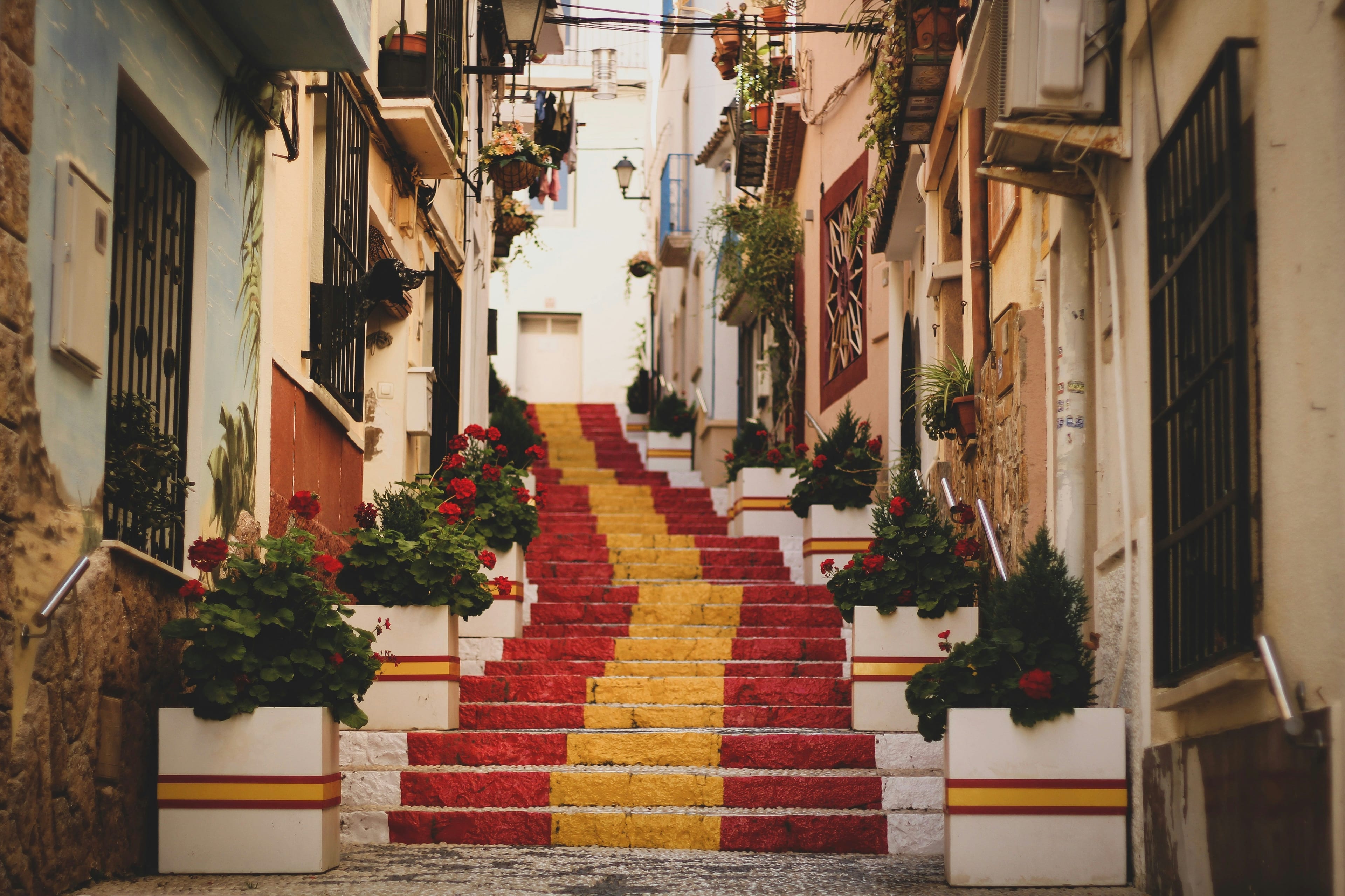 Me Too in Spanish: How to Agree Naturally