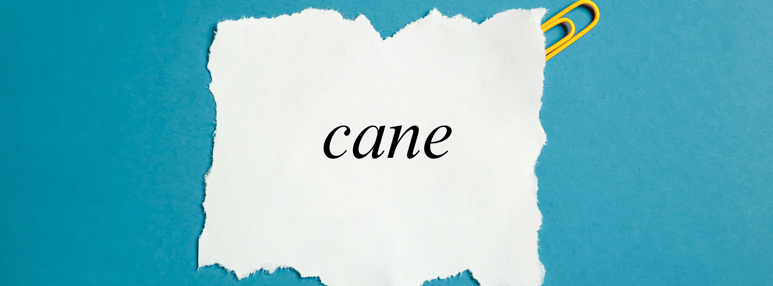 Was bedeutet „cane"? – Bedeutung & Beispiele im Italienischen